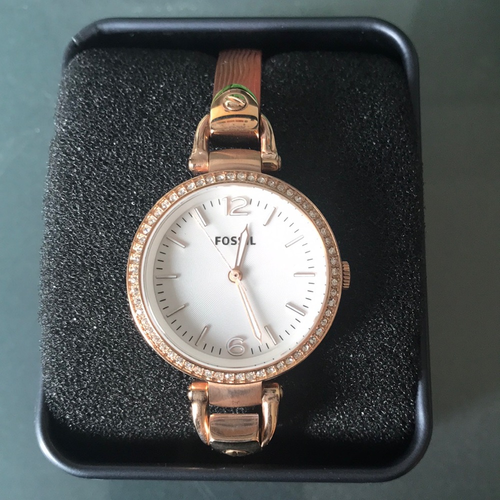 Fossil Watch